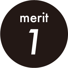 Merit 1