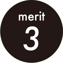 Merit 3